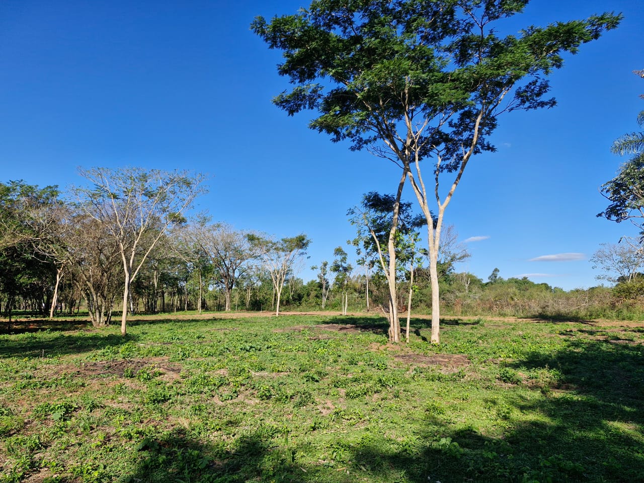 JARDINES DE SANTO DOMINGO