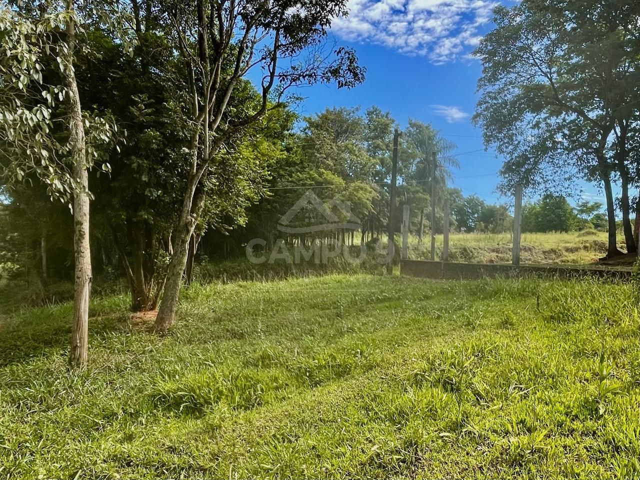 VENDO ESTE TERRENO