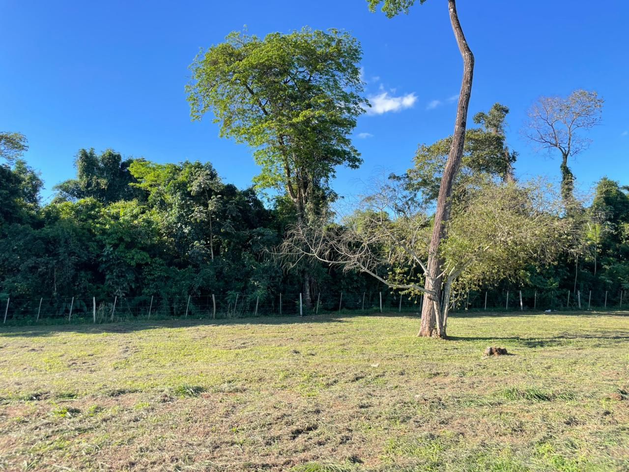 4 TERRENOS EN VENTA