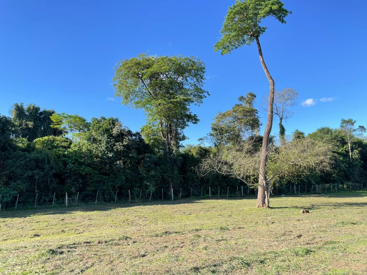 4 TERRENOS EN VENTA